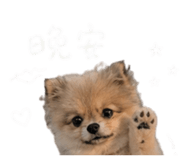 843175379