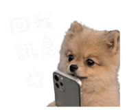 843175386