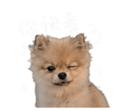 843175387
