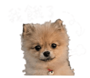 843175390