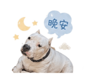 843175755