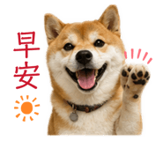 843175913