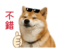 843175922
