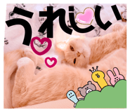 843176152