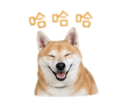 843176181
