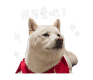 843176484