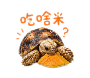 843176919