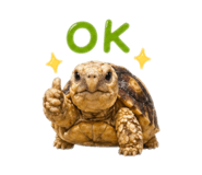 843176933