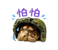 843176939