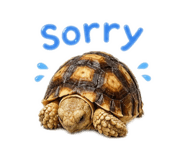 843176942