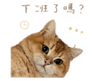 843177202