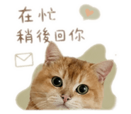 843177206