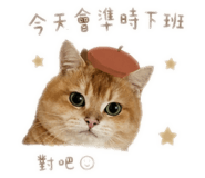843177213