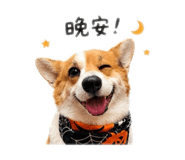 843177420