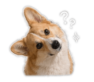 843177841