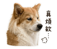 843177846