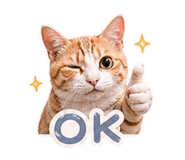 843177882