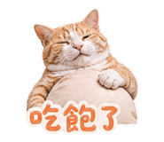 843177884