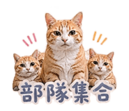 843177888