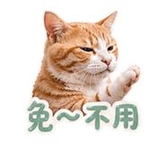 843177895