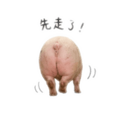 843178404