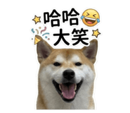843178643