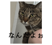 843179144