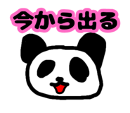 843179232