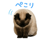 843179340