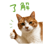 843179345