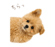843179355