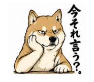 843179381