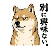 843179383