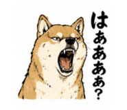 843179384
