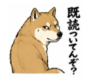 843179385