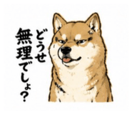 843179387