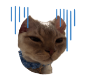 843179498