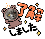 843179509
