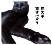 843179860