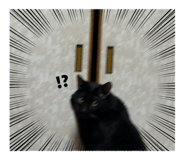 843179865