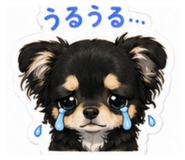 843180054