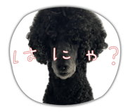 843180090