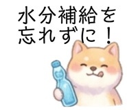 843182033