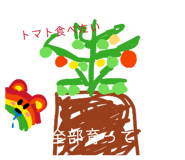 843182274