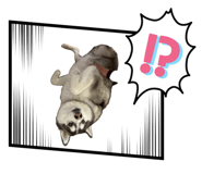 843182388