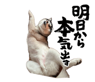 843182398