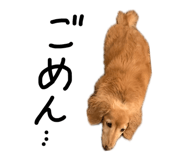 843182661