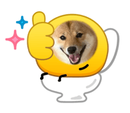 843182706