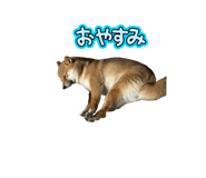843182710