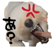843182779